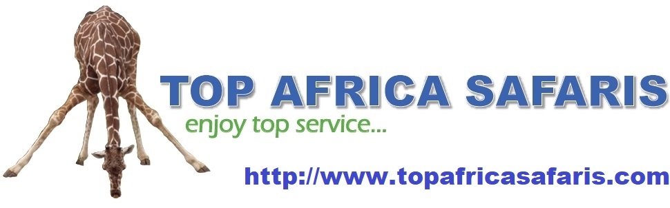Top Africa Safaris
