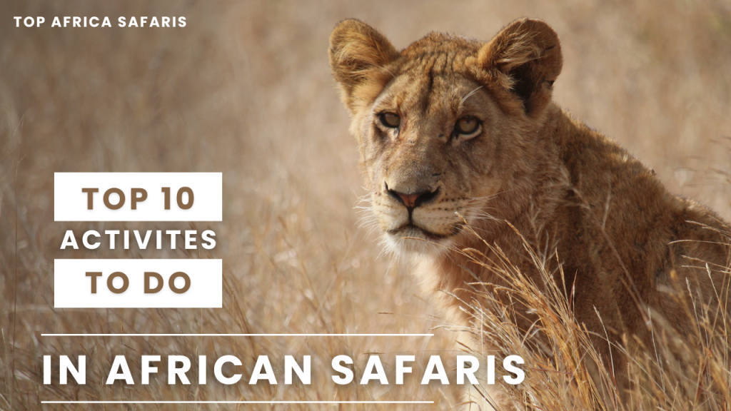 African Safaris Tours and Packages