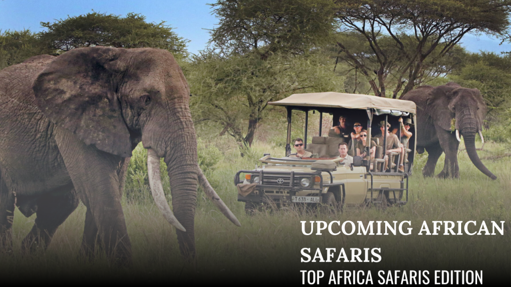 luxury kenya safaris by Top Africa Safaris