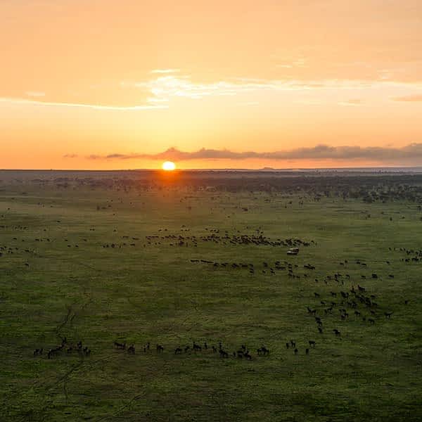 Serengeti Plains